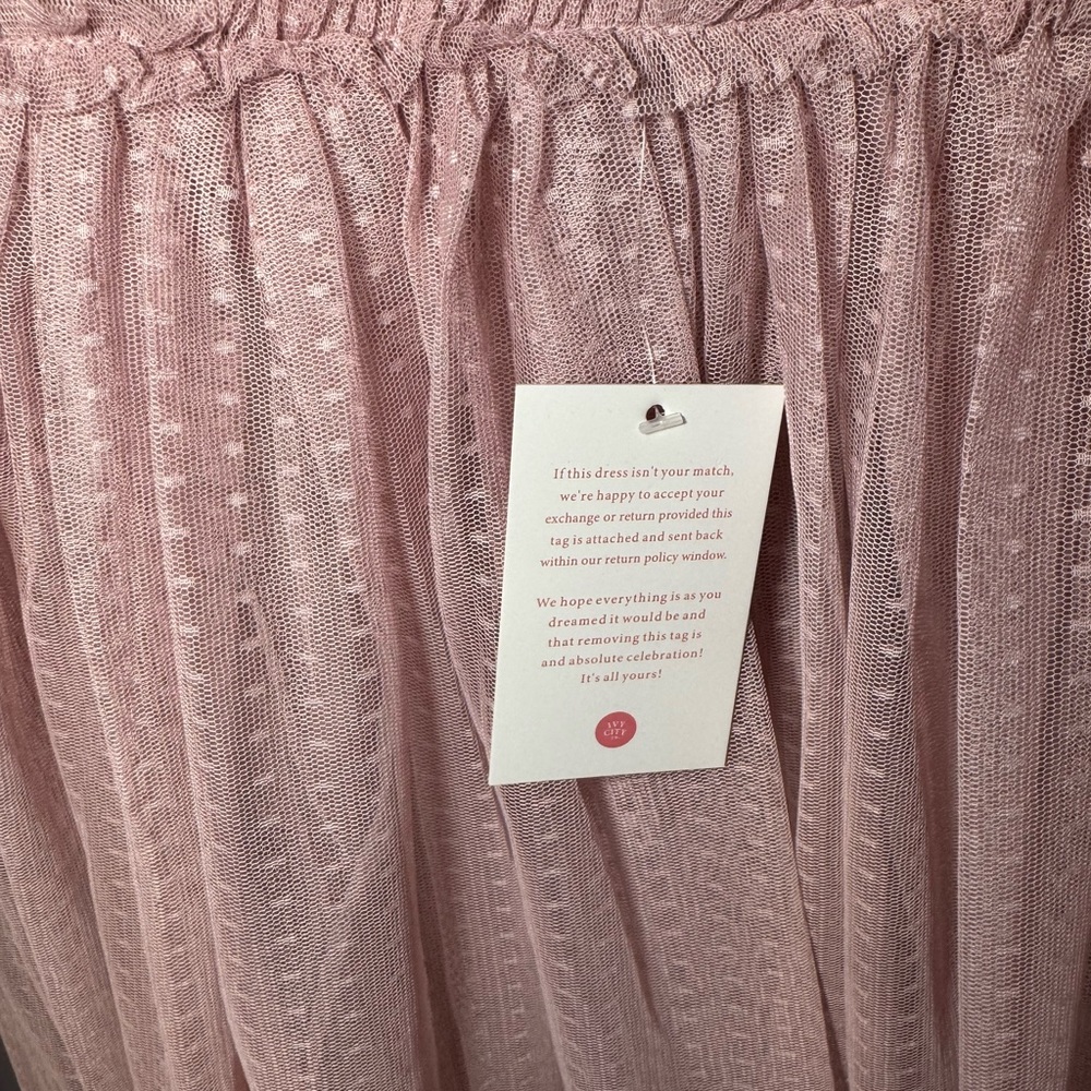 Ivy City Co Tara Dress Blush
NEW WITH TAGS SIZE M
Tulle Midi Dress - Picture 6 of 13